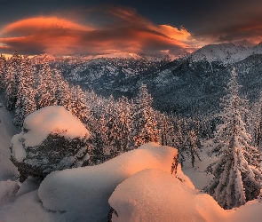 Góry Tatry, Zachód słońca, Ośnieżone, Polska, Drzewa, Zima, Lasy