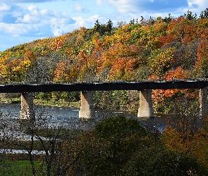 Kanada, Goderich, Drzewa, Prowincja Ontario, Rzeka, Wzgórze, Maitland River, Most, Jesień, Menesetung Bridge