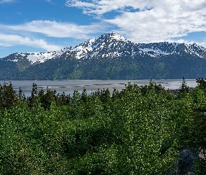 Góry, Alaska, Turnagain Arm, Stany Zjednoczone, Anchorage, Bird Point Park, Kenai Mountains, Rzeka, Drzewa