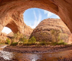 Utah, Coyote Gulch, Łuk Jacoba Hamblina, Stany Zjednoczone, Rzeka, Skały, Drzewa