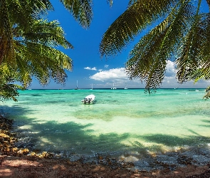 Palmy, Morze, Dominikana, Łodzie, Plaża, Karaiby, Punta Cana