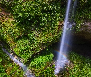 Mount Gambier, Tęcza, Cave Garden Waterfall, Australia, Roślinność, Wodospad, Jaskinia