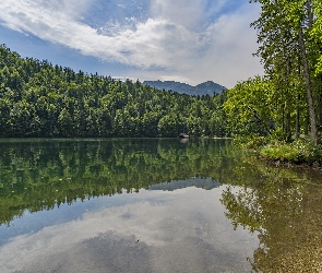 Austria, Odbicie, Alpy, Chmury, Brzeg, Toplitzsee, Las, Drzewa, Jezioro, Góry