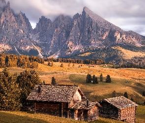 Val Gardena, Drzewa, Dolomity, Seiser Alm, Drewniane, Włochy, Góry, Domki, Dolina, Sassolungo, Płaskowyż