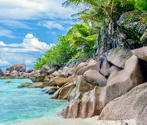Palmy, Skały, Wyspa La Digue, Seszele, Plaża, Anse Cocos