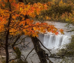 Stany Zjednoczone, Kentucky, Cumberland Falls, Wodospad, Drzewa, Jesień