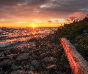 Rośliny, Kamienie, Zachód słońca, Morze