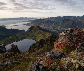 Norwegia, Rośliny, Góry, Morze Norweskie, Skały, Lofoty