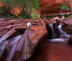 Stany Zjednoczone, Utah, Rzeka, Skały, Coyote Gulch, Krzewy