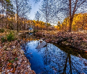 Drzewa, Trawy, Rzeka, Jesień, Domek, Pożółkłe