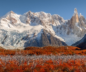 Argentyna, Jesień, Cerro Torre, Roślinność, Ośnieżone, Góry, Patagonia, Park Narodowy Los Glaciares, El Chalten