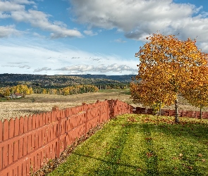 Drzewa, Ogrodzenie, Płot, Pola, Jesień
