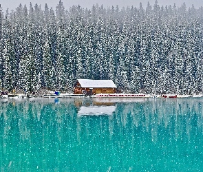 Zima, Alberta, Louise Lake, Kanada, Park Narodowy Banff, Jezioro, Dom, Drzewa, Las