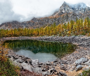 Jesień, Lago Nero, Kamienie, Włochy, Jezioro, Drzewa, Góry, Mgła, Żółte