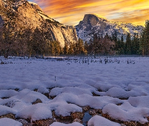 Sucha, Trawa, Stany Zjednoczone, Sierra Nevada, Śnieg, Dolina Yosemite, Kalifornia, Zima, Drzewa, Park Narodowy Yosemite, Góry