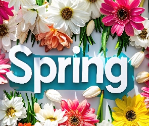 Spring, Napis, Kwiaty, Wiosna