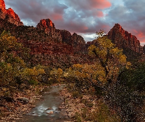 Stany Zjednoczone, Park Narodowy Zion, Drzewa, Utah, Szczyty, Czerwone, Rzeka, Virgin River, Góry, Kamienie