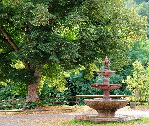 Drzewo, Ławka, Ogrodzenie, Lipa, Fontanna