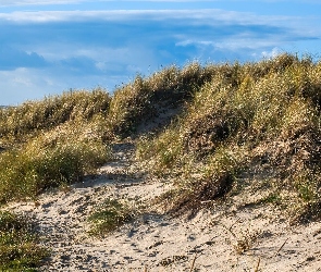 Trawa, Piasek, Wzgórze