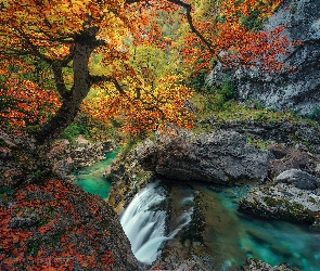Pożółkłe, Drzewa, Hiszpania, Głazy, Opadłe, Jesień, Park Narodowy y Monte Perdido, Liście, Rzeczka, Dolina Ordeus, Skały