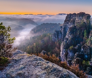 Mgła, Drzewa, Park Narodowy Saskiej Szwajcarii, Niemcy, Góry Połabskie, Skały