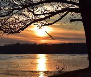 Niemcy, Wendisch Rietz, Zachód słońca, Jezioro Scharmutzelsee, Drzewo, Las