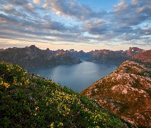 Chmury, Rośliny, Góry, Jezioro