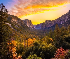 Stany Zjednoczone, Park Narodowy Yosemite, Yosemite Valley, Kalifornia, Drzewa, Jesień, Krzewy, Góry, Wschód słońca, Dolina