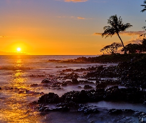 Hawaje, Morze, Stany Zjednoczone, Wailea, Palmy, Wyspa Maui, Skały, Zachód słońca