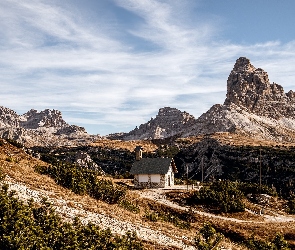 Krzewy, Dom, Góry, Skały