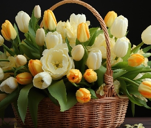 Koszyk, Listki, Białe, Kwiaty, Żółte, Tulipany