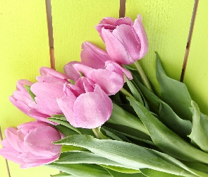 Różowe, Deski, Żółte, Bukiet, Tulipany