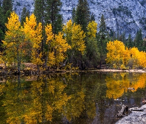 Merced River, Drzewa, Rzeka, Pożółkłe, Kalifornia, Odbicie, Stany Zjednoczone, Park Narodowy Yosemite