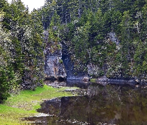 Drzewa, Staw, Skały