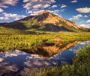 Krzewy, Rzeka, Kolorado, Trawa, Crested Butte Mountain, Stany Zjednoczone, Góra