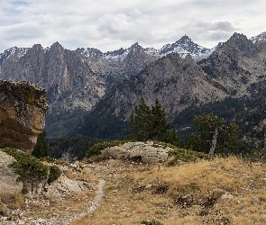 Hiszpania, Trawa, Pireneje, Góry, Skała, Sucha