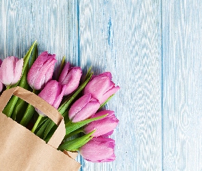 Deski, Błękitne, Jasnofioletowe, Kwiaty, Tulipany, Torba papierowa