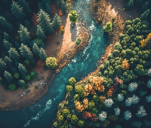 Kolorowe, Kamienie, Las, Rzeka, Grafika, Drzewa, AI, Z lotu ptaka
