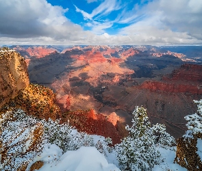 Stany Zjednoczone, Arizona, Skały, Zima, Drzewa, Park Narodowy Wielkiego Kanionu