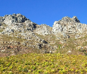 Niebo, Krzew, Góry