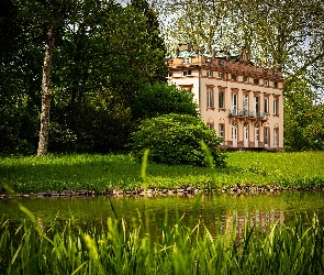 Niemcy, Aschaffenburg, Dolne Jezioro, Park, Zamek Schonbusch, Drzewa
