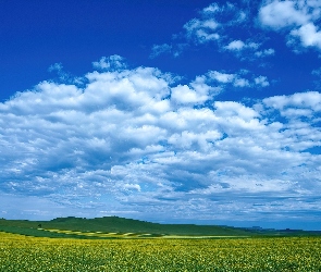 Obłoki, Białe, Pola, Rozległe, Łąki, Niebo