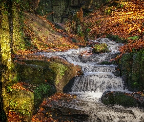 Kolorowe, Liście, Wodospad, Las, Jesień, Anglia, Lumsdale Waterfall, Matlock, Drzewa, Potok, Skały