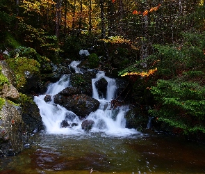 Natura, Rzeka, Przyroda, Wodospad, Kamienie, Las, Drzewa, Potok