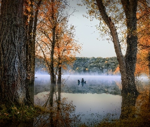 Jezioro, Jesień, Drzewa, Mgła, Las