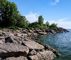 Kamienie, Drzewa, Kaczka, Morze, Wybrzeże