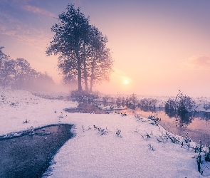 Śnieg, Zima, Mgła, Wschód słońca, Rzeka, Drzewa