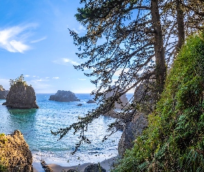 Morze, Oregon, Samuel H Boardman State Scenic Corridor, Stany Zjednoczone, Brookings, Wybrzeże Park stanowy, Wysepki, Skały, Drzewa