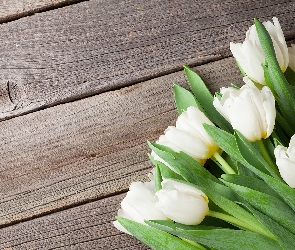 Bukiet, Deski, Tulipany, Białe, Kwiaty