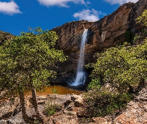 Drzewa, Chiva Falls, Arizona, Stany Zjednoczone, Skały, Wodospad